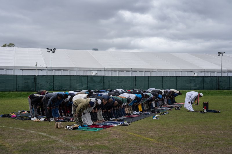 d0a805bf-9e0d-417e-af55-c66944fbd8a4